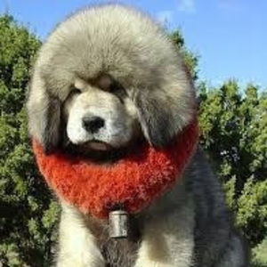 Meet your Posher, Geremiah